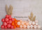 Kate Ballons Boho Mur Blanc Anniversaire Toile de fond conçue par Melissa King - Kate Backdrop FR