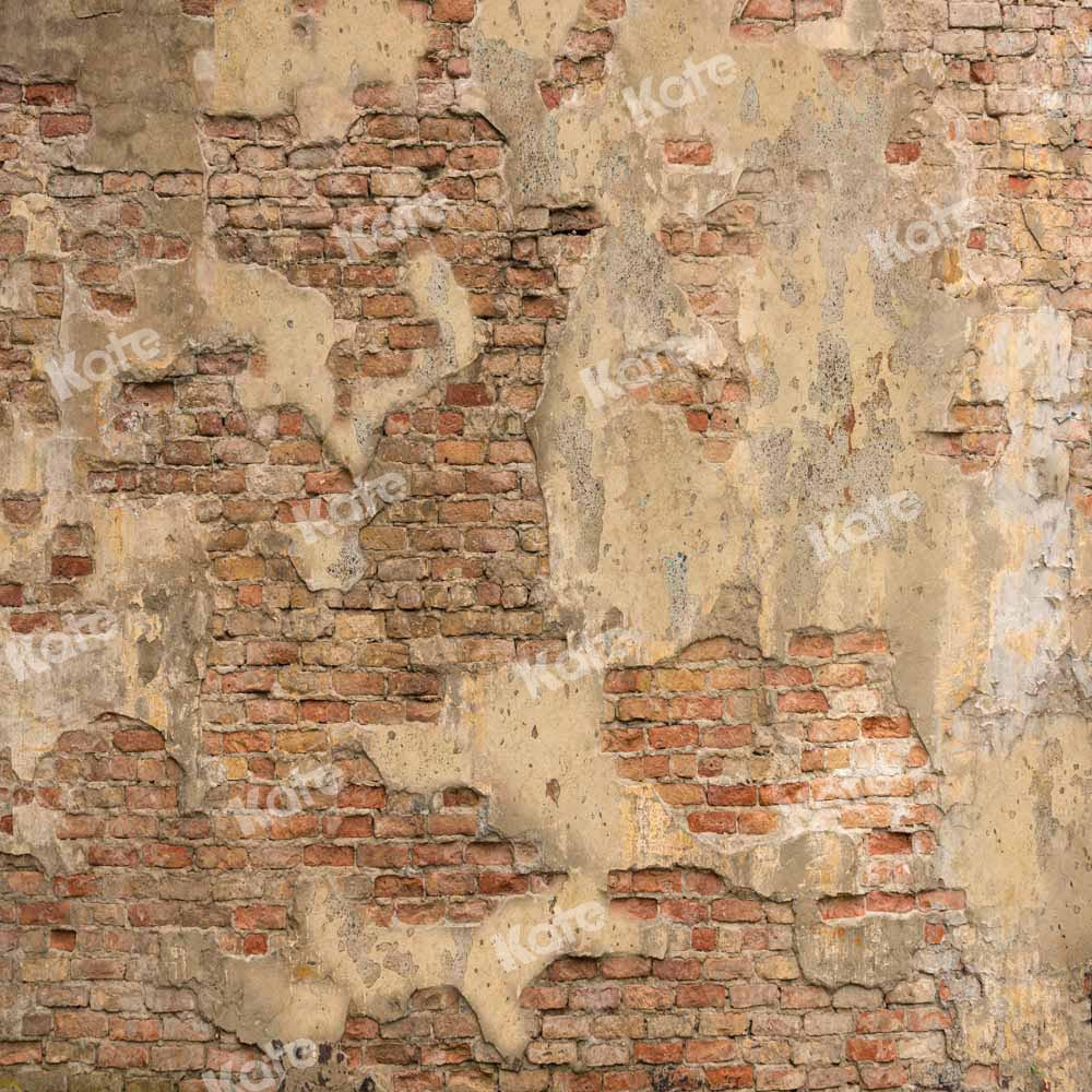 Kate Mur de briques Toile de fond vintage Texture minable Conçu par Chain Photographie