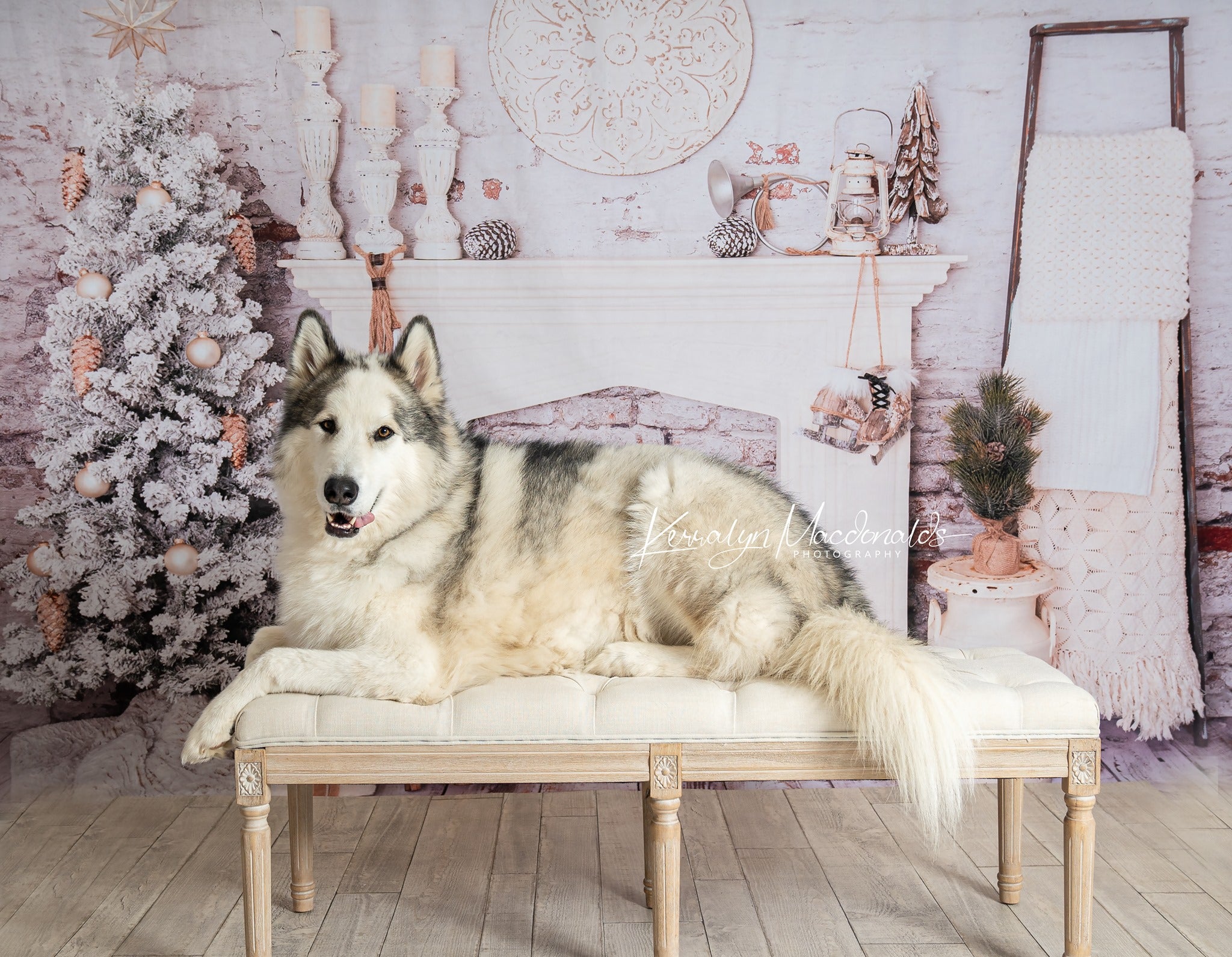 Kate Décorations Noël Salle Brique Cheminée Toile de fond conçue par Pine Park Collection - Kate Backdrop FR