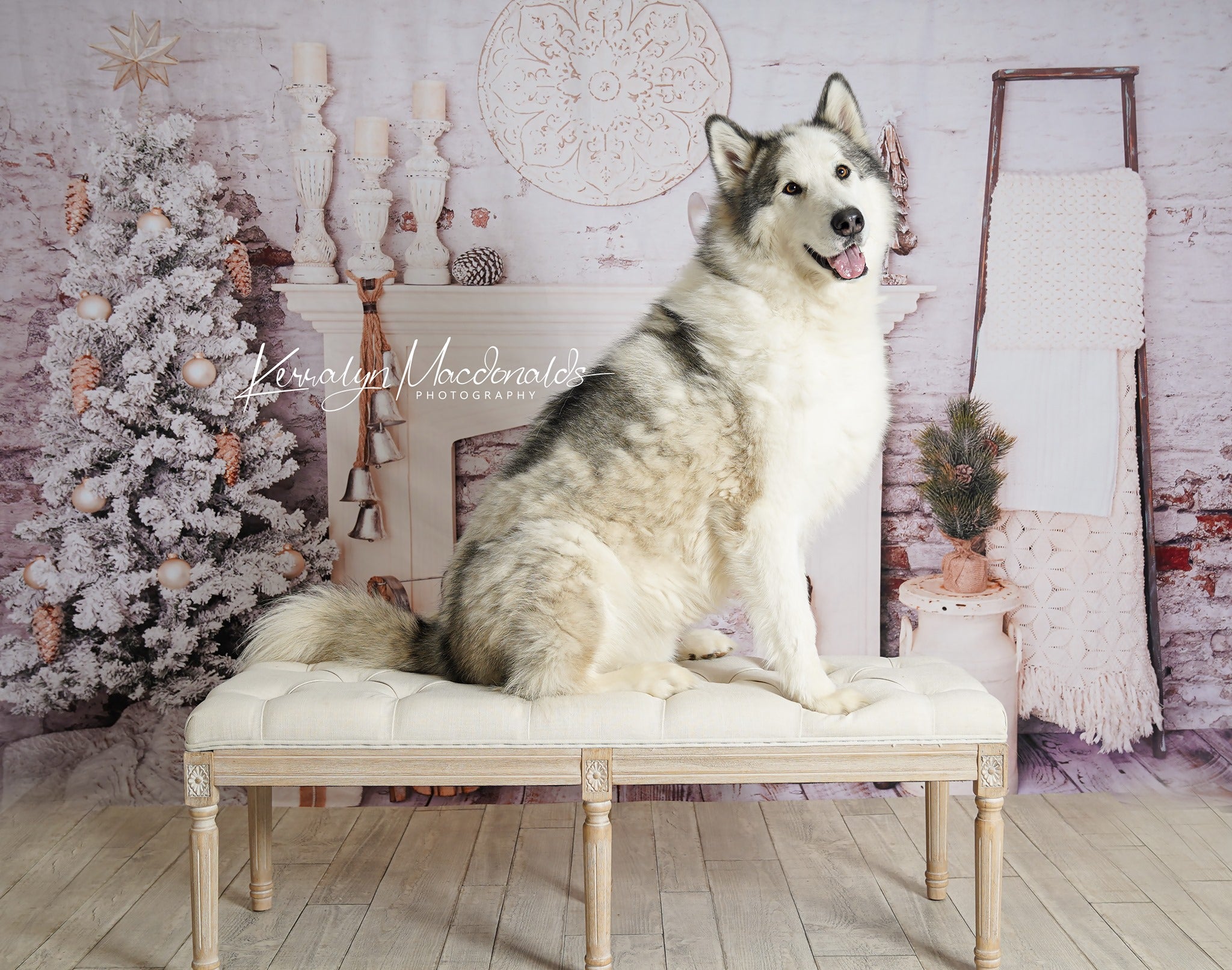 Kate Décorations Noël Salle Brique Cheminée Toile de fond conçue par Pine Park Collection - Kate Backdrop FR
