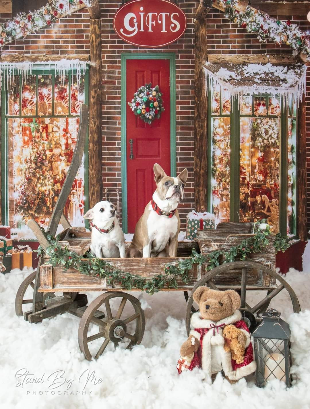 Kate Décorations Noël Cadeaux Neige Boutique Toile de fond pour la photographie - Kate Backdrop FR