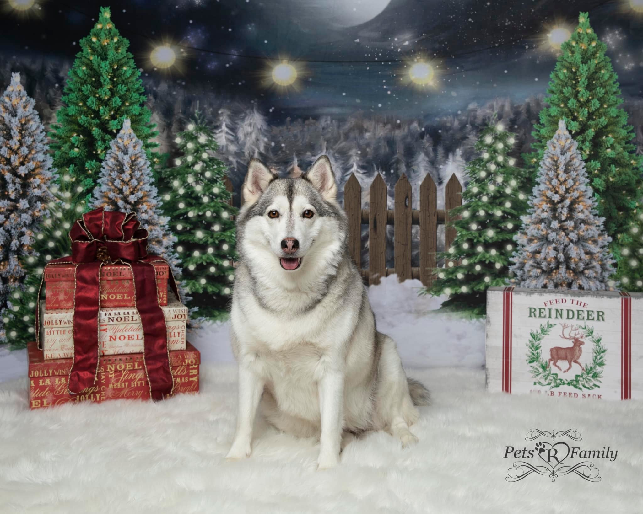 Kate Toile de fond de ferme de pins de nuit de Noël conçue par Jerry_Sina