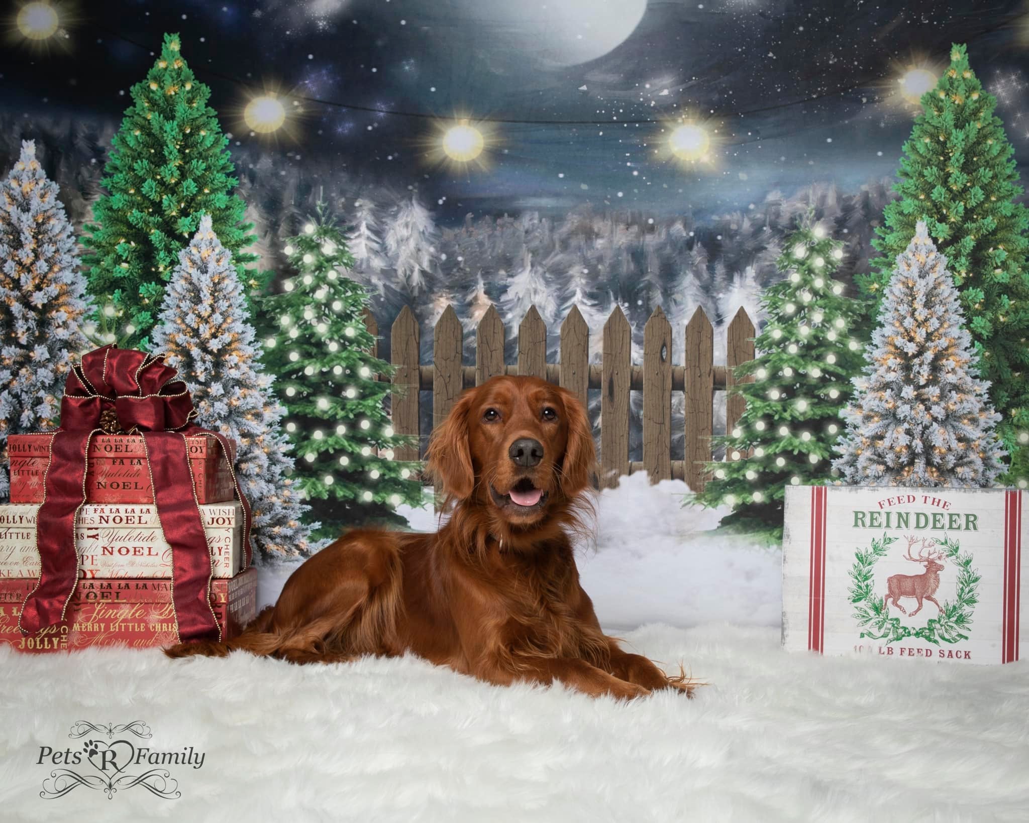 Kate Toile de fond de ferme de pins de nuit de Noël conçue par Jerry_Sina