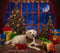Kate Fenêtre Sapin de Noël Wapiti Lune Toile de fond conçue par Chain Photography - Kate Backdrop FR