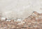 Kate ciment de toile de fond de mur de brique fissuré conçu par Chain Photographie - Kate Backdrop FR