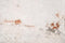 Kate toile de fond de mur de briques délabrées conçue par Kate image - Kate Backdrop FR