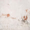 Kate toile de fond de mur de briques délabrées conçue par Kate image - Kate Backdrop FR
