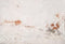 Kate toile de fond de mur de briques délabrées conçue par Kate image - Kate Backdrop FR