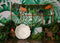 Kate Jungle Vert Dinosaures Enfant Toile de fond conçue par Jenna Onyia - Kate Backdrop FR