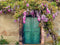 Kate Toile de fond de fleurs de plantes de porte pour la photographie - Kate Backdrop FR