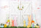 Kate Porte de grange Mur Porte Blanc Lapin Pâques Toile de fond conçue par Emetselch - Kate Backdrop FR
