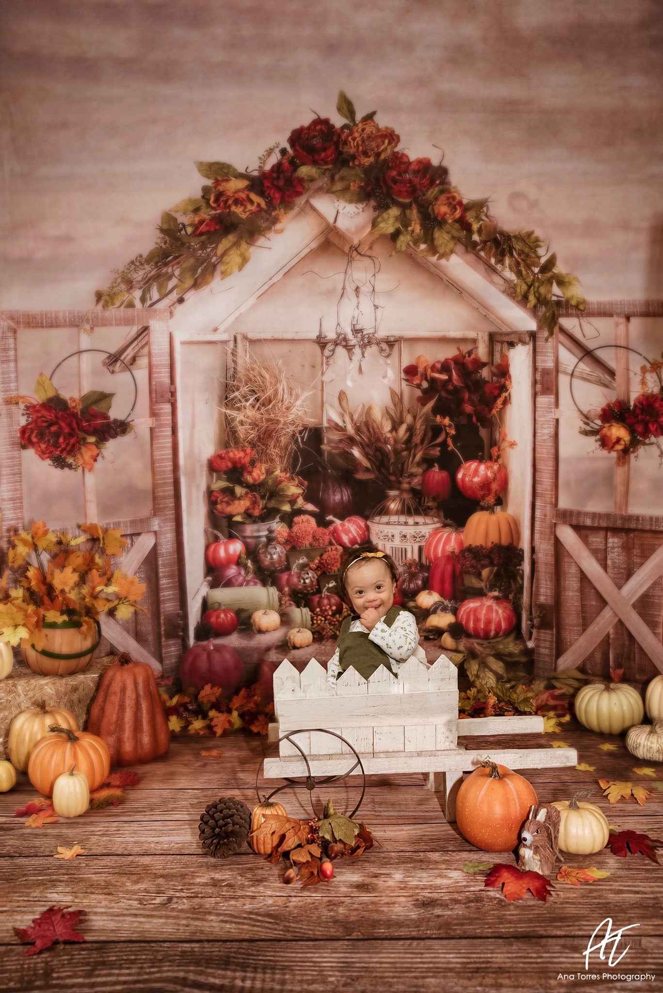 Kate Mini serre de citrouille d'Halloween en toile de fond d'automne conçue par Arica Kirby