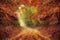 Kate Feuille d'érable Route de Campagne Automne Toile de fond pour la photographie - Kate Backdrop FR