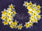 Kate Toile de Fond Florale Fine Art Jonquilles Maternité Nouveau-né Conçu par Mini MakeBelieve - Kate Backdrop FR