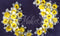 Kate Toile de Fond Florale Fine Art Jonquilles Maternité Nouveau-né Conçu par Mini MakeBelieve - Kate Backdrop FR