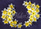 Kate Toile de Fond Florale Fine Art Jonquilles Maternité Nouveau-né Conçu par Mini MakeBelieve - Kate Backdrop FR