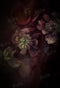 Kate Rose foncé Fleurs Beaux-arts Toile de fond conçue par GQ - Kate Backdrop FR