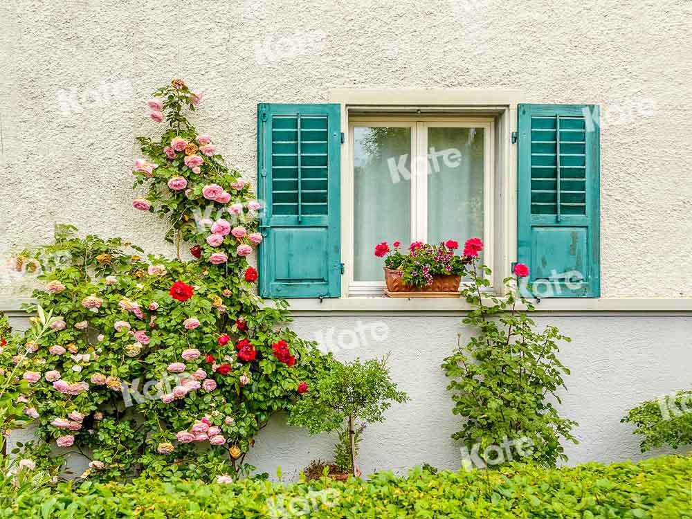 Kate Mur Fenêtre Plantes Fleurs Extérieur Toile de fond conçue par Emetselch
