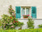 Kate Mur Fenêtre Plantes Fleurs Extérieur Toile de fond conçue par Emetselch - Kate Backdrop FR