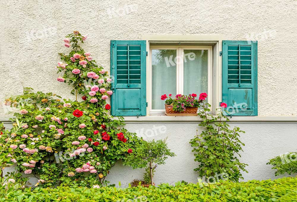 Kate Mur Fenêtre Plantes Fleurs Extérieur Toile de fond conçue par Emetselch
