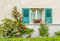 Kate Mur Fenêtre Plantes Fleurs Extérieur Toile de fond conçue par Emetselch - Kate Backdrop FR