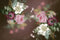 Kate Fleurs Toile de Fond Boudoir Conçu par GQ - Kate Backdrop FR