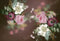 Kate Fleurs Toile de Fond Boudoir Conçu par GQ - Kate Backdrop FR