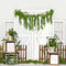 Kate Porte de ressort de toile de fond de plantes vertes conçue par Emetselch - Kate Backdrop FR