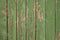 Kate Toile de fond de grain de bois vert Texture minable Conçu par Kate Image - Kate Backdrop FR