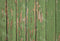 Kate Toile de fond de grain de bois vert Texture minable Conçu par Kate Image - Kate Backdrop FR