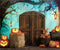 Kate Halloween Citrouille Porte Grange Toile d'araignée Toile de fond pour la photographie - Kate Backdrop FR