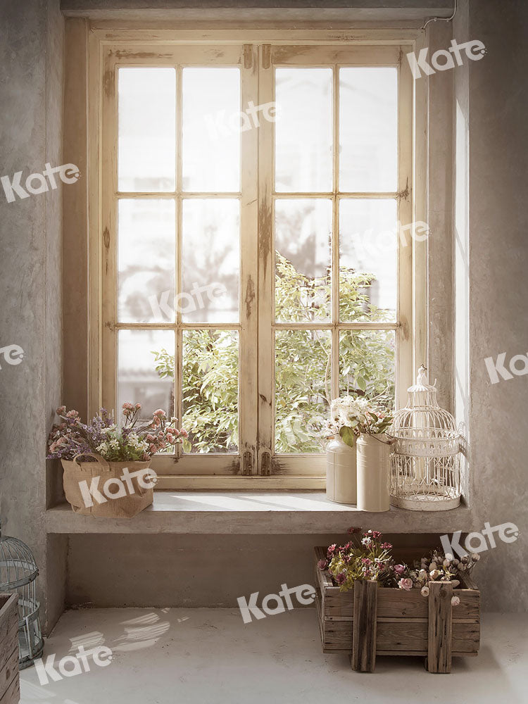 Kate Plante Lumière du soleil Fenêtre Intérieur Toile de fond conçue par Emetselch