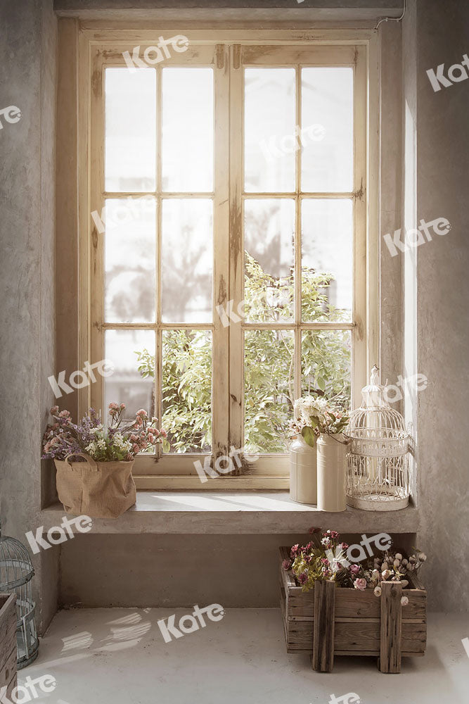 Kate Plante Lumière du soleil Fenêtre Intérieur Toile de fond conçue par Emetselch
