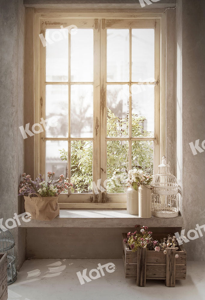 Kate Plante Lumière du soleil Fenêtre Intérieur Toile de fond conçue par Emetselch - Kate Backdrop FR