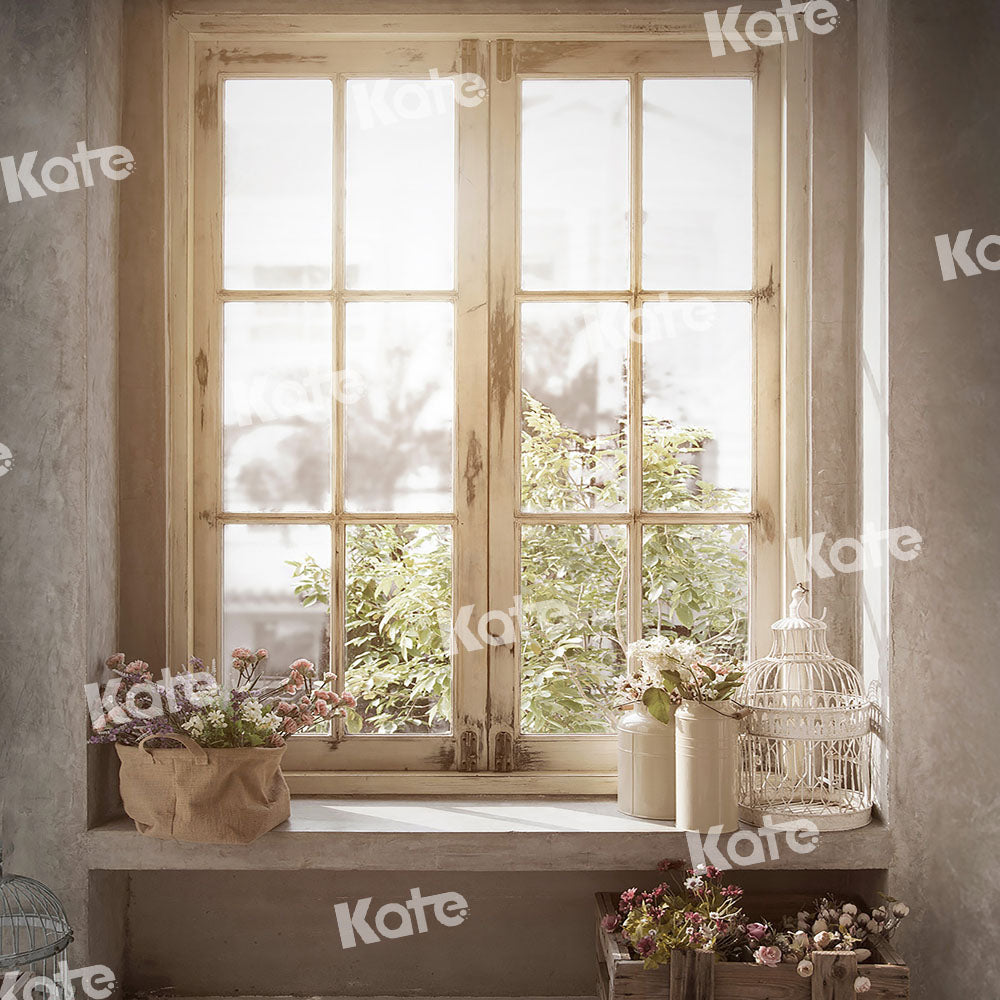Kate Plante Lumière du soleil Fenêtre Intérieur Toile de fond conçue par Emetselch - Kate Backdrop FR