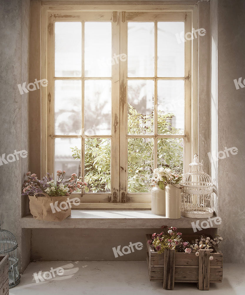 Kate Plante Lumière du soleil Fenêtre Intérieur Toile de fond conçue par Emetselch - Kate Backdrop FR