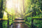Kate Plantes Vert Jungle Toile de fond conçue par Chain Photographie - Kate Backdrop FR