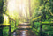 Kate Plantes Vert Jungle Toile de fond conçue par Chain Photographie - Kate Backdrop FR