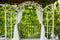 Kate Jardin Printemps Feuilles Vert Toile de fond conçue par Emetselch - Kate Backdrop FR