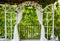Kate Jardin Printemps Feuilles Vert Toile de fond conçue par Emetselch - Kate Backdrop FR