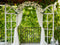 Kate Jardin Printemps Feuilles Vert Toile de fond conçue par Emetselch - Kate Backdrop FR