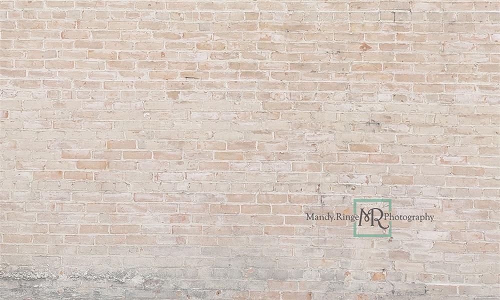 Kate Mur de briques Ferme Crème légère Toile de fond conçue par Mandy Ringe Photographie