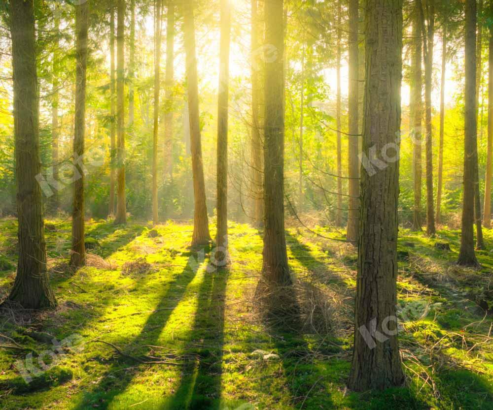 Kate Forêt Naturelle Printemps Ensoleillement Toile de fond conçu par Kate Image - Kate Backdrop FR