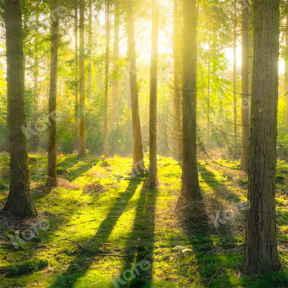 Kate Forêt Naturelle Printemps Ensoleillement Toile de fond conçu par Kate Image - Kate Backdrop FR
