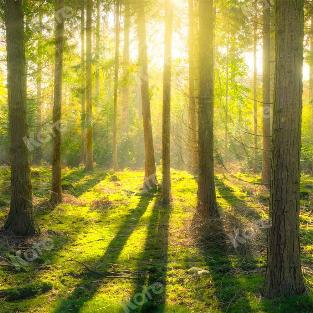 Kate Forêt Naturelle Printemps Ensoleillement Toile de fond conçu par Kate Image