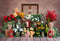 Kate Magasin de fleurs Coloré Rétro printemps Toile de fond conçue par Emetselch - Kate Backdrop FR