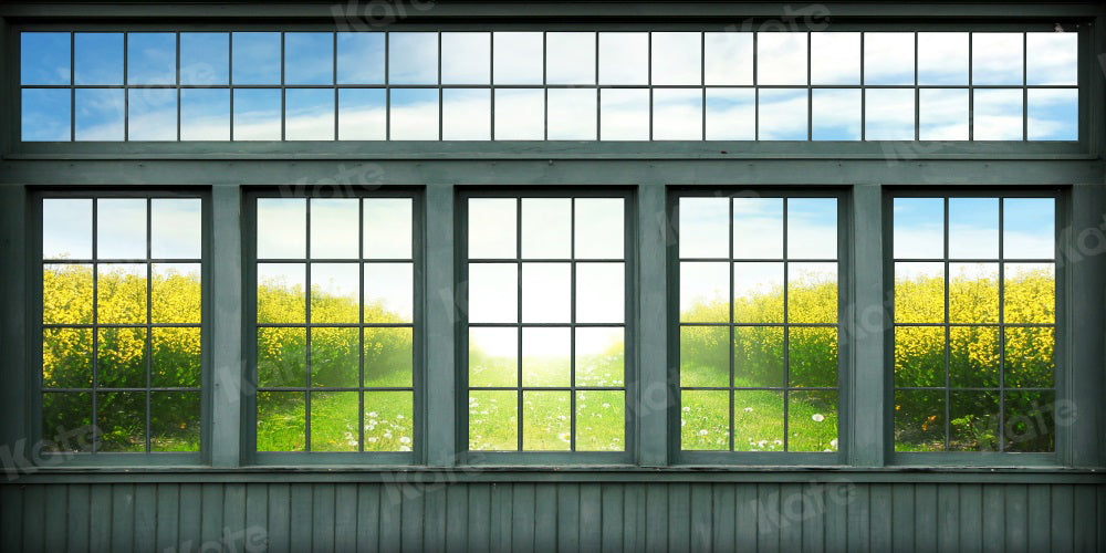 Kate Paysage Fenêtre Rétro Toile de fond pour la photographie