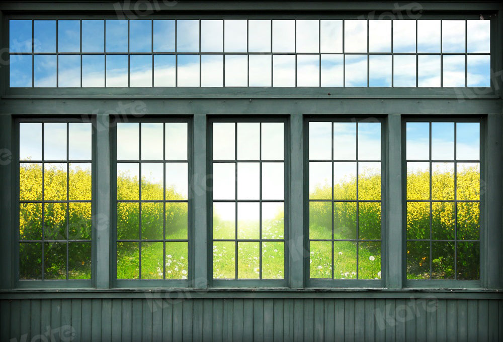 Kate Paysage Fenêtre Rétro Toile de fond pour la photographie