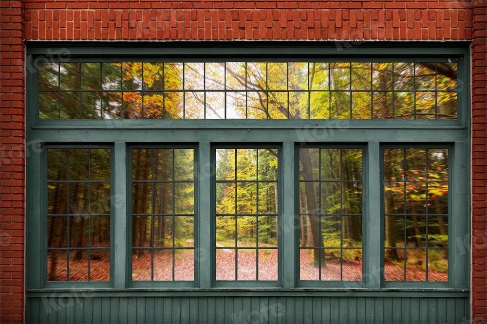 Kate Paysage à l'extérieur Fenêtre Mur de briques Toile de fond pour la photographie
