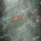 Kate Toile de fond de texture légèrement rouillée conçue par Kate Image - Kate Backdrop FR